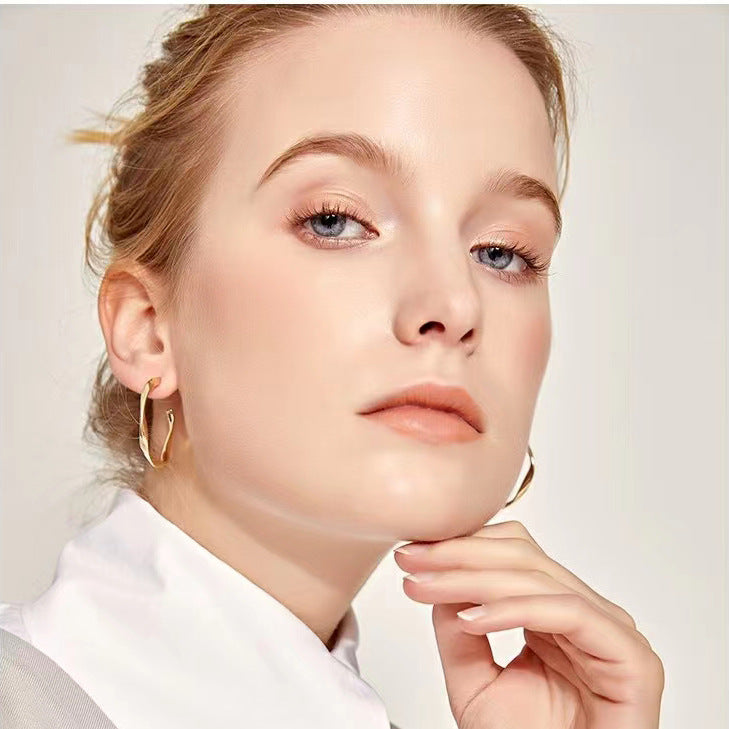 Gold Earrings for Women Twisted Circle Earrings Silver Women's Jewelry