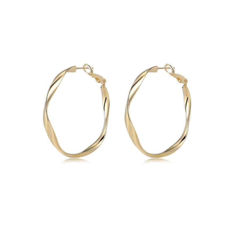 Gold Earrings for Women Twisted Circle Earrings Silver Women's Jewelry