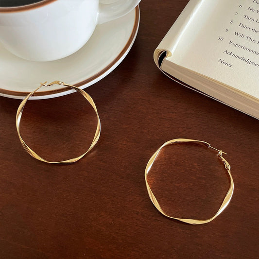 Gold Earrings for Women Twisted Circle Earrings Silver Women's Jewelry